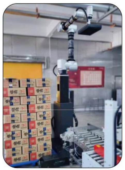 Robot Palletizing Kolaboratif AI Ai-RMD30 (≤9 Karton/Menit) – Solusi Palletizing Fleksibel Cerdas untuk Berbagai Skenario