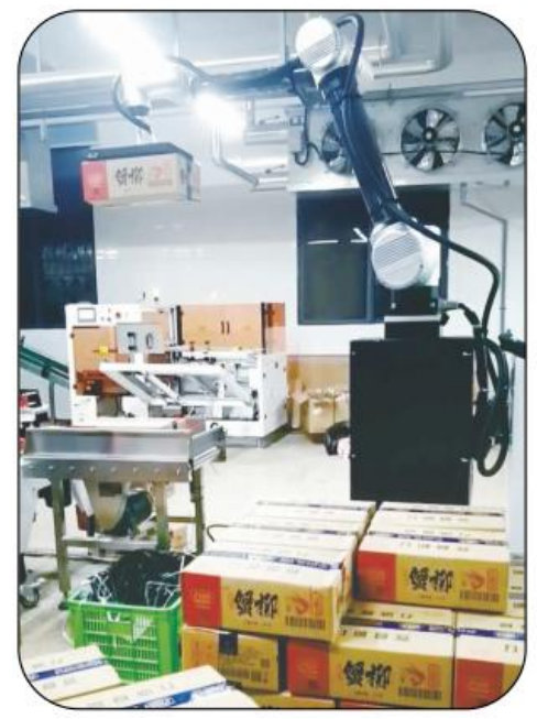 Robot Palletizing Kolaboratif AI Ai-RMD30 (≤9 Karton/Menit) – Solusi Palletizing Fleksibel Cerdas untuk Berbagai Skenario