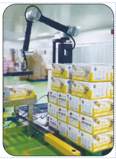 Robot Palletizing Kolaboratif AI Ai-RMD30 (≤9 Karton/Menit) – Solusi Palletizing Fleksibel Cerdas untuk Berbagai Skenario